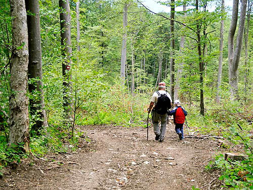 A little boy is walking beside his grandpa on a track through a forest