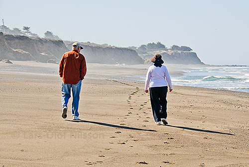 A man and a woman are walking on a beach by the sea.