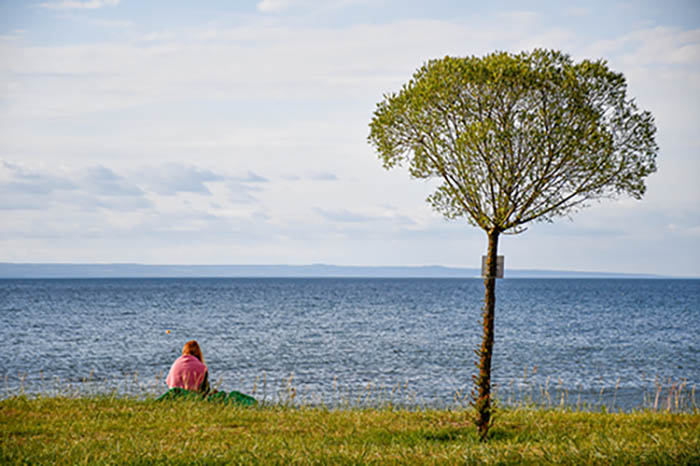 A lone woman is sitting on a grassy beach by a large lake.