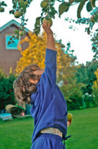 A little girl is stretching to reach an apple hanging from a tree. The image illustrates the use of in and within.